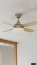 ABS blade ceiling fan with light