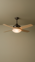 Brushed metal ceiling fan